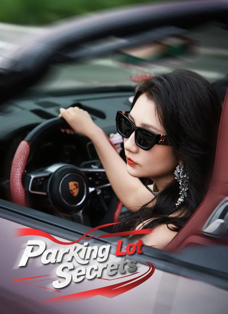 Parking Lot Secrets cover