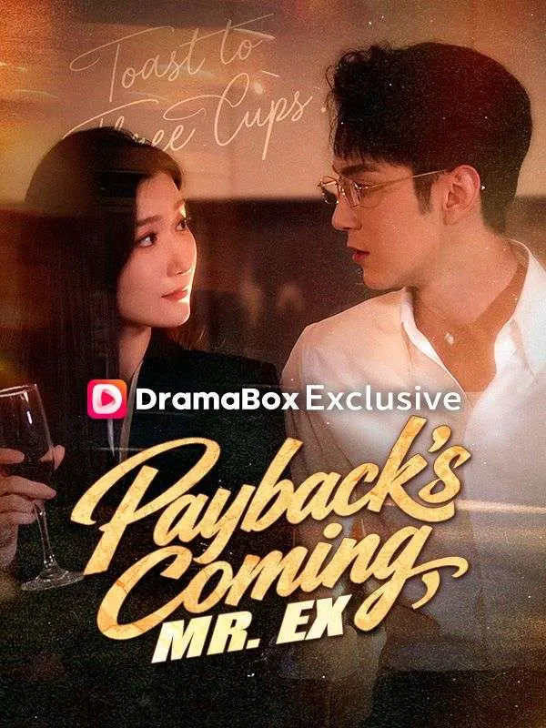 Payback's Coming, Mr. Ex (DUBBED) cover