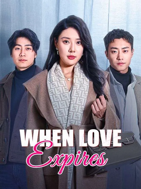 When Love Expires(DUBBED) cover