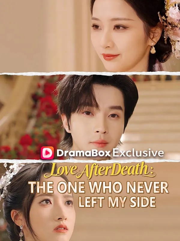 Love After Death: The One Who Never Left My Side(DUBBED) cover