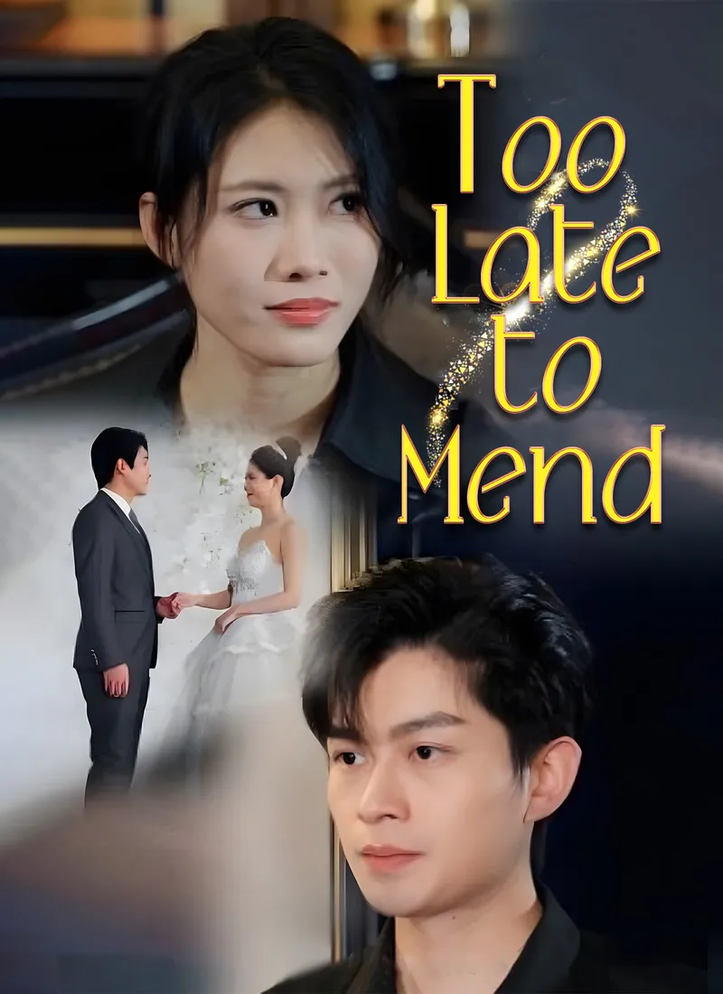 Too Late to Mend cover