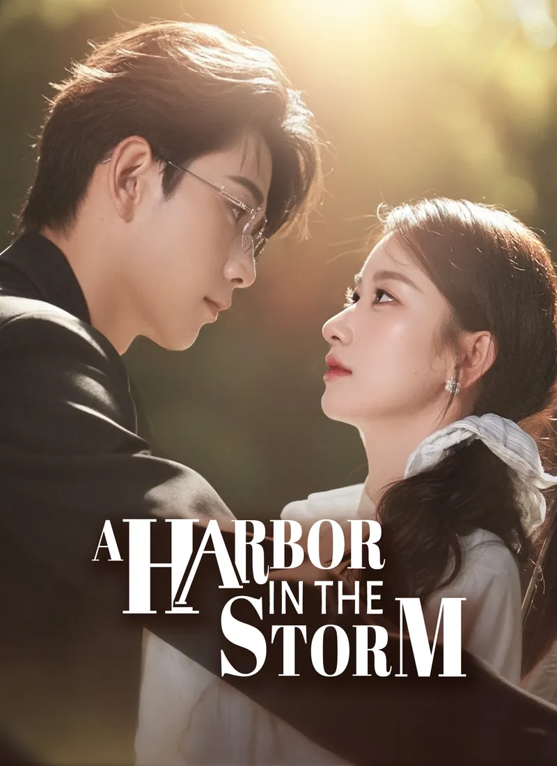 A Harbor in the Storm cover