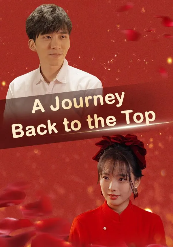 A Journey Back to the Top cover