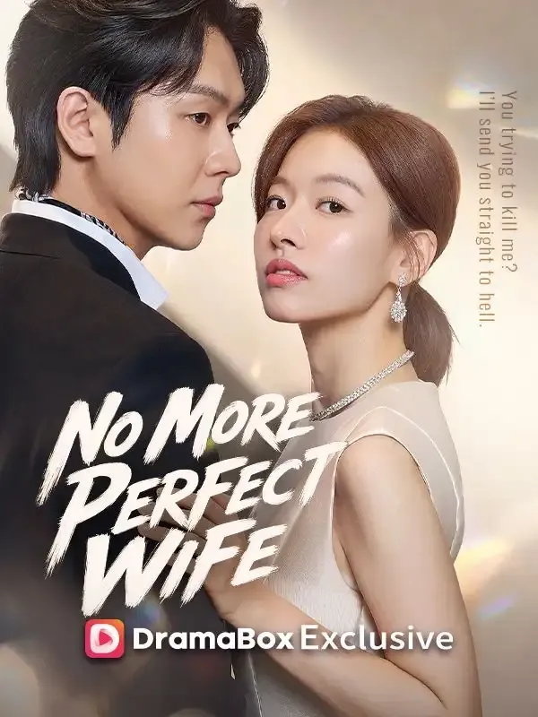 No More Perfect Wife cover
