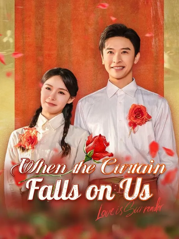When the Curtain Falls on Us (DUBBED) cover