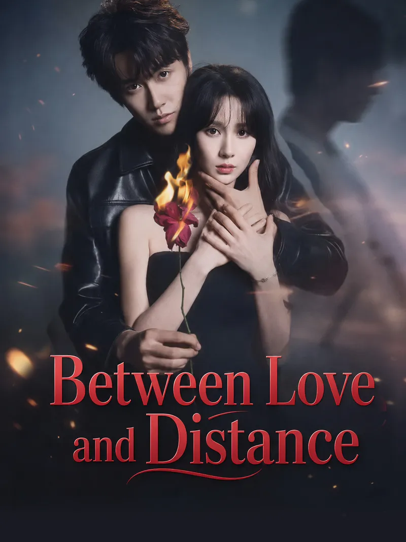 Between Love and Distance cover