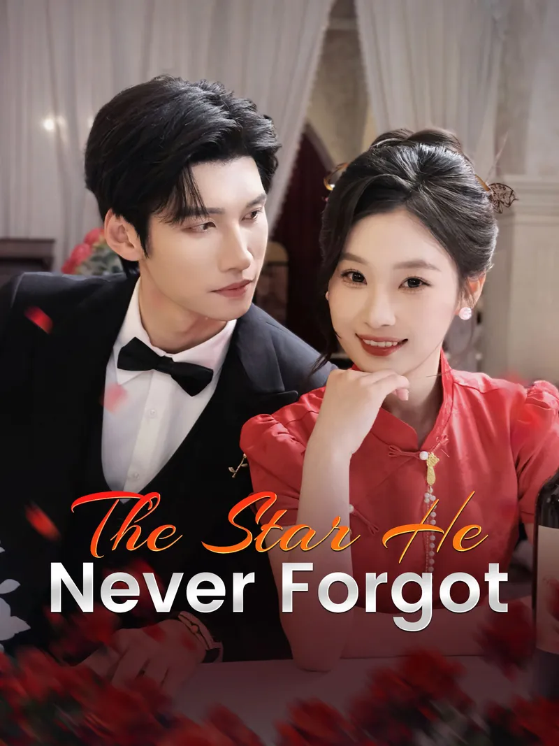 The Star He Never Forgot cover