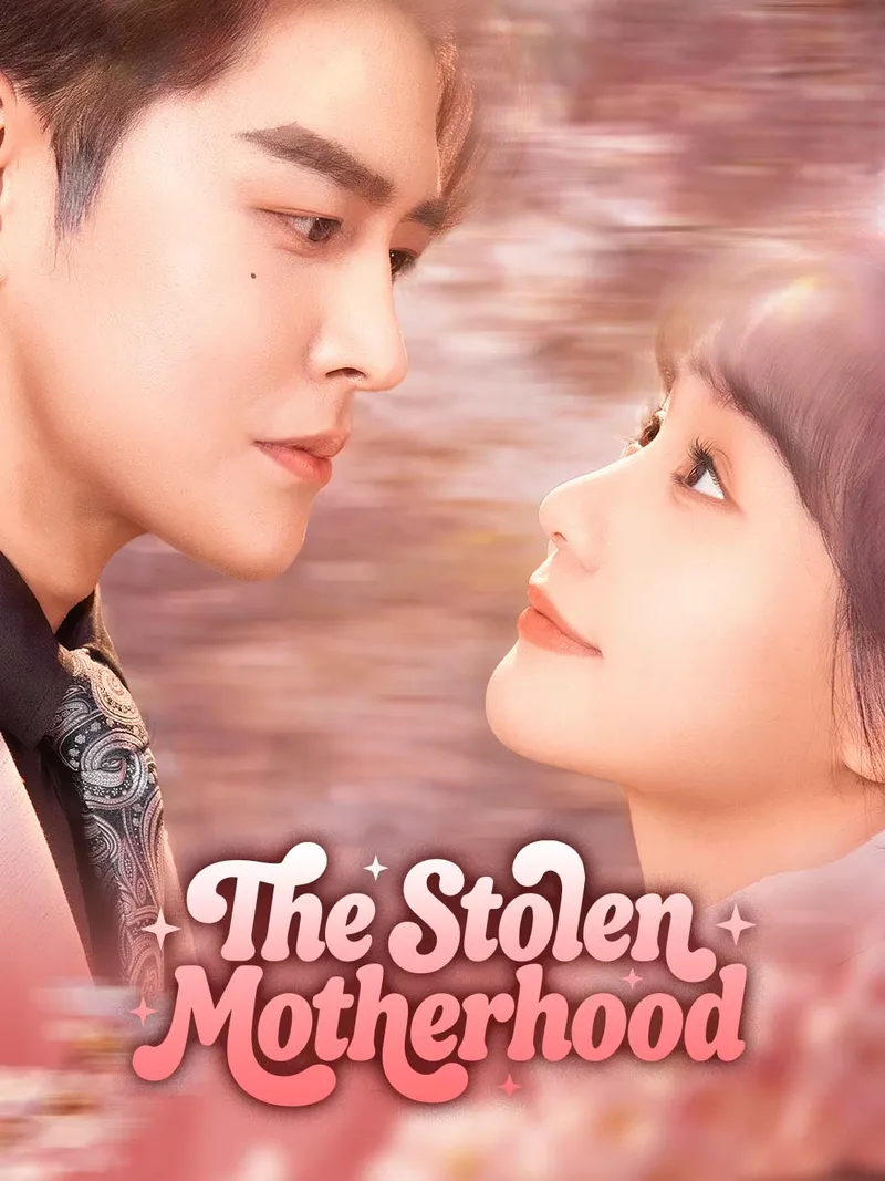 The Stolen Motherhood cover