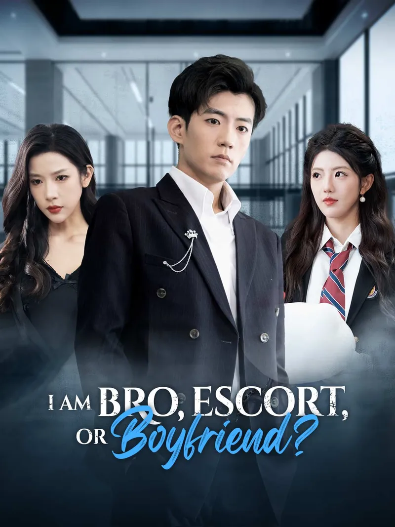 I Am Bro, Escort, or Boyfriend? cover