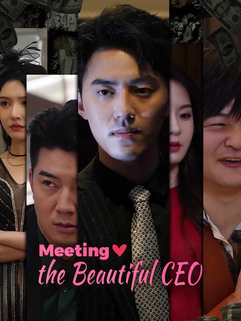 Meeting the Beautiful CEO cover