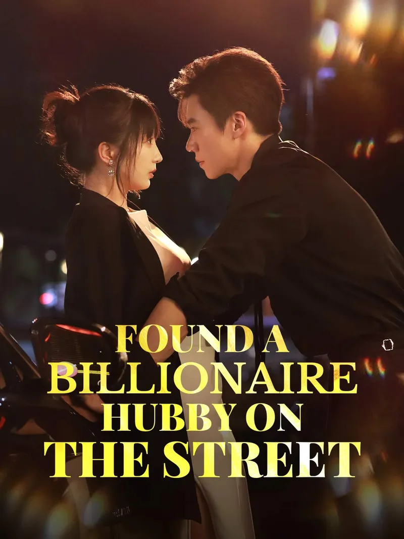 Found a Billionaire Hubby on the Street cover
