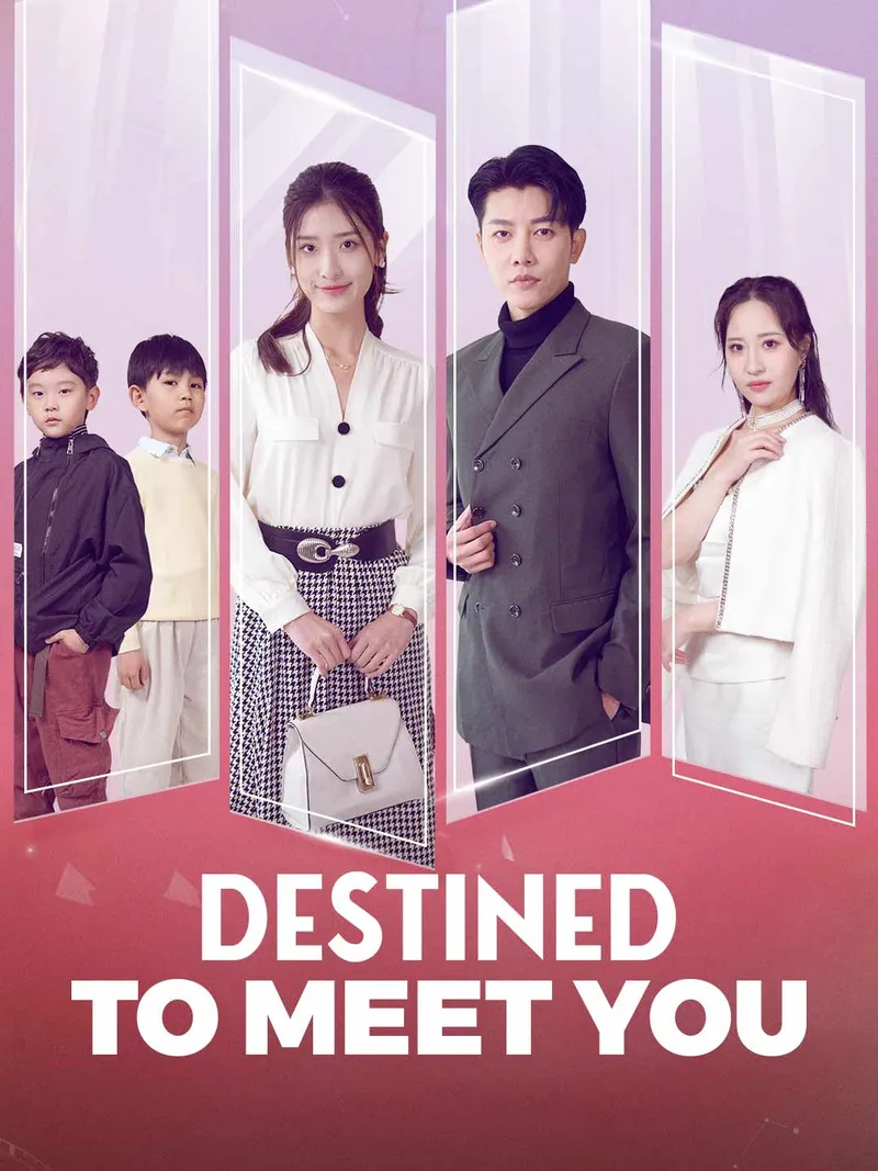 Destined to Meet You cover