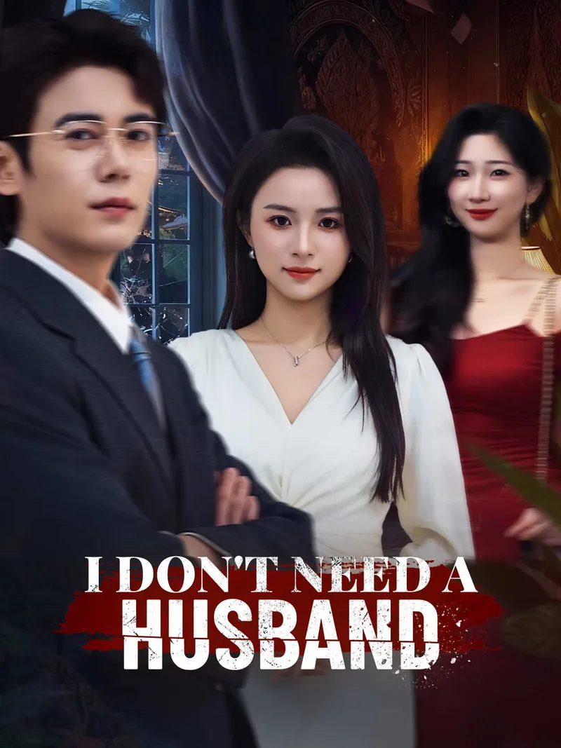 I Don't Need a Husband cover