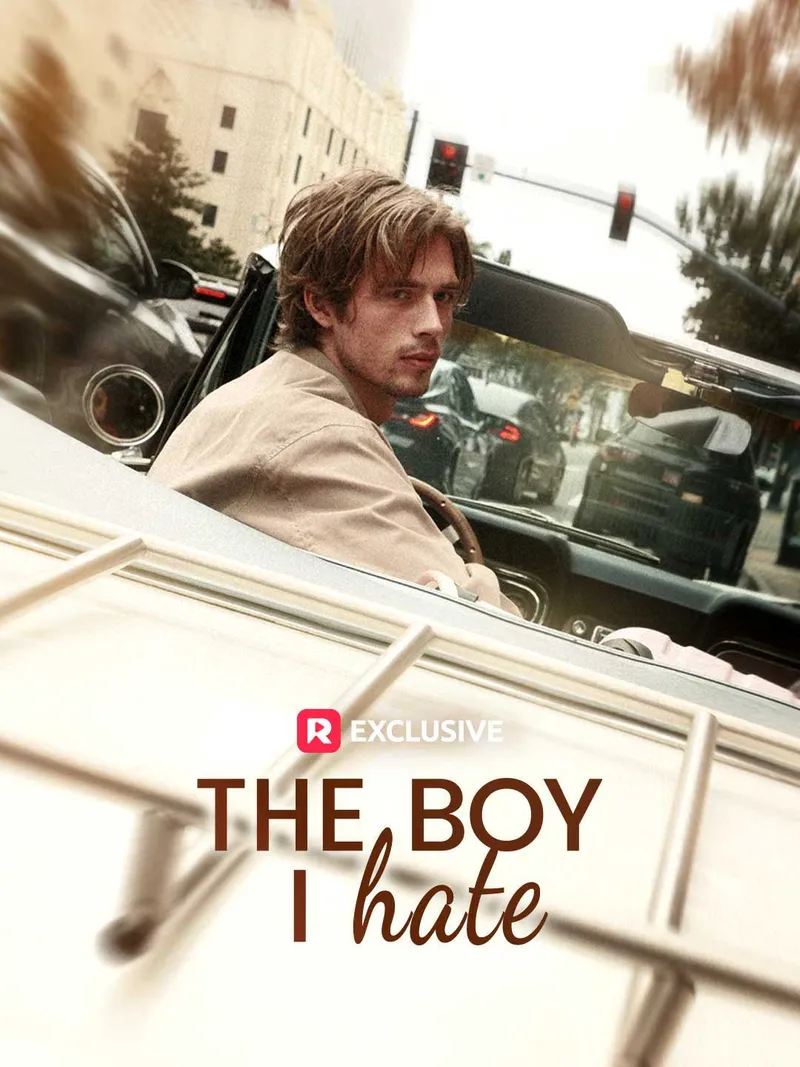 The Boy I Hate cover