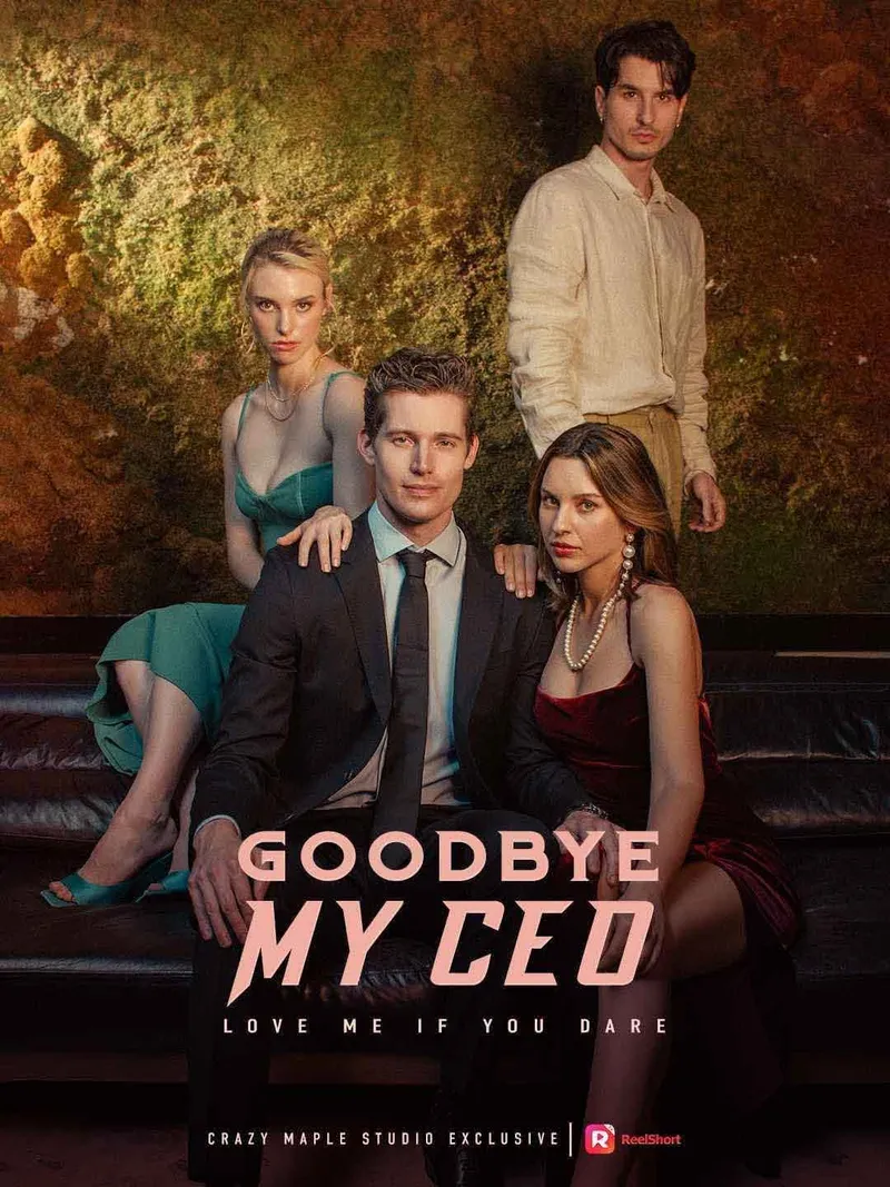 Goodbye, My CEO cover