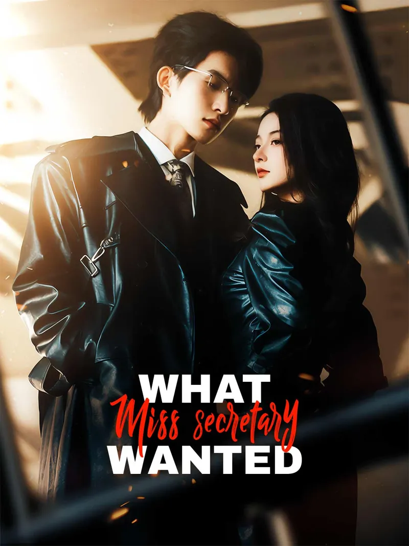 What Miss Secretary Wanted cover