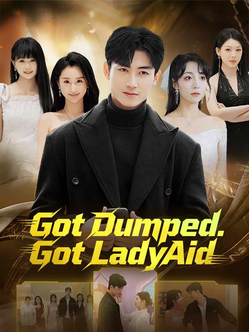 Got Dumped. Got LadyAid. cover
