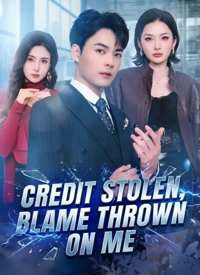 Credit Stolen, Blame Thrown on Me cover